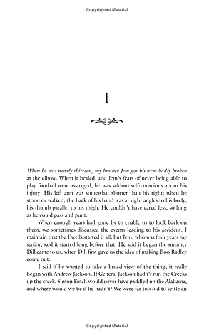 Sách To Kill A Mockingbird (Reprint, 2007) - Giết Con Chim Nhại