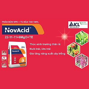 Phân bón hòa tan Israel NPK NovAcid 22-11-11+6MgO+Te giúp thúc cây bung chồi non đồng loạt, tăng kích cở trái thông qua hệ thống tưới nhỏ giọt bón gốc hay phun lên lá 
