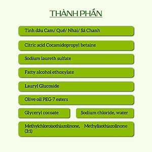 Nước rửa tay hữu cơ diệt khuẩn dạng bọt hương Cam 4Ll thương hiệu Ecocare