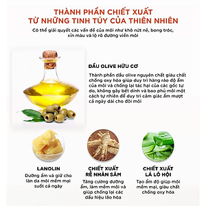 Son Dưỡng Môi DHC Lip Cream Nhật Bản 1,5g