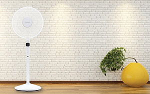 Quạt Đứng Toshiba F-LSD10(H)VN (30W) - Xám - Hàng chính hãng