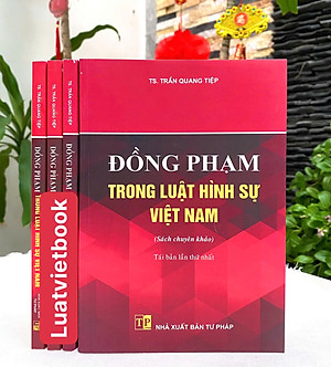 Đồng Phạm Trong Luật Hình Sự Việt Nam