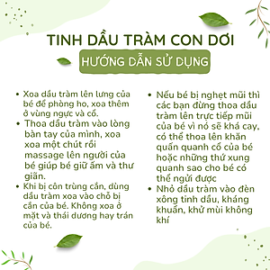 Tinh dầu tràm Con Dơi ( Nguyên chất 100%)