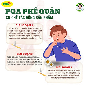 Siro Phế Quản PQA Thành Phần Từ Thiên Nhiên Giúp Bổ Phế, Ho Hộp 250ml