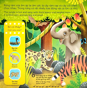 Sách Tương Tác - Sách Chuyển Động - First Explorers - In The Jungle - Trong Khu Rừng