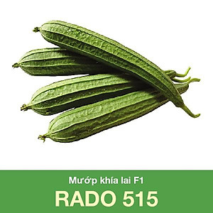 Hạt Giống Mướp Khía Sai Trái, Chịu Nhiệt 10 Hạt