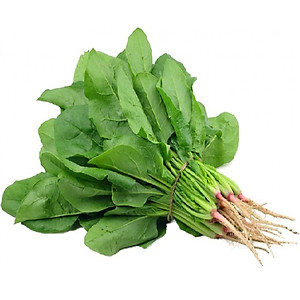 Hạt Giống Cải Bó Xôi Turkana