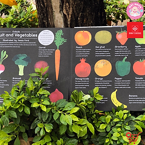 Sách Khám Phá In Focus - Cuốn Sách Khổng Lồ (Dành cho bé từ 6 tuổi) - Đinh Tị Books