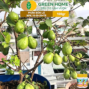 Phân Bón Lá Đầu Trâu MK 501-701-901, GreenHome,Chai 100GR,Đặc Biệt Dành Cho Hoa Lan Và Cây Cảnh