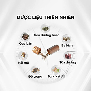 Viên uống phục hồi và tăng cường sức khỏe sinh lý nam giới Powergra (Super Gold Magic) - Vỉ dùng thử 1 viên