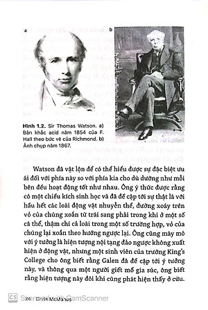 Sách Những Bí Ẩn Của Tay Phải Và Tay Trái