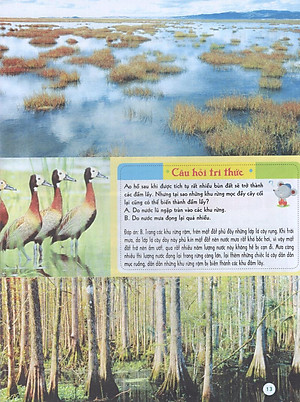 Sách Bách Khoa Tri Thức Đầu Đời Cho Trẻ Em - Trái Đất Diệu Kỳ - Khám Phá "Cơ Thể" Trái Đất