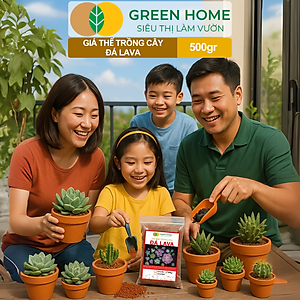 Đá Nham Thạch Lava GreenHome, Bao 500GR, Giá Thể Cho Thủy Sinh, Bonsai, Xương Rồng Màu Đỏ, Đen, Sạch Bụi