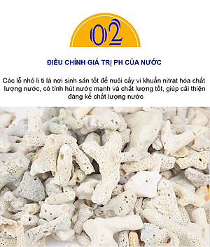 3KG San Hô Vụn vật liệu lọc hồ cá, trang trí bể cá, hồ thủy sinh cao cấp 