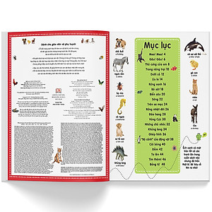 Sách Từ Điển Bằng Hình Cho Trẻ Mầm Non - Trốn Tìm Động Vật (Tái Bản)