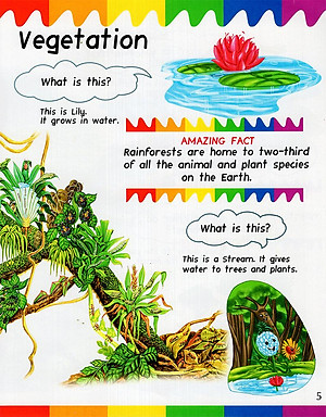 Sách My First Questions & Answers - Rainforest