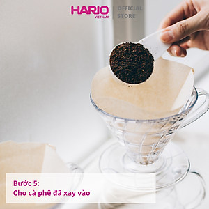 Giấy lọc cà phê Hario 100 cái (V60-VCF-01-100W)