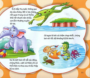 Sách Những Điều Kỳ Thú - Kiến Thức Thú Vị