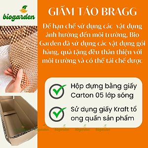 Combo giấm táo BRAGG Hữu cơ Nhập khẩu USA chai 946ml