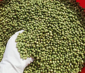 Hạt tiêu xanh sấy thăng hoa