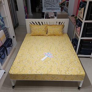Bộ ga chun chần 160x200 Sông Hồng chất cotton