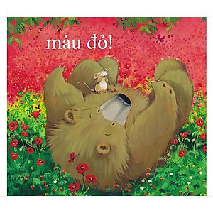Sách Cùng gấu khám phá -The Bear Books - Gấu nhận biết màu sắc - Bear see colors