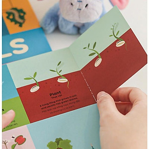 [Gia đình MinHee ] Bộ sách song ngữ Anh - Việt: My first book of Everything - Carobooks