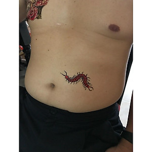 11 ý tưởng hay nhất về rết  rết hình xăm inspiration tattoos