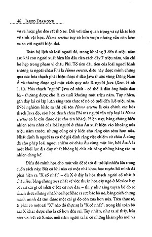 Súng, Vi Trùng Và Thép (Tái Bản)