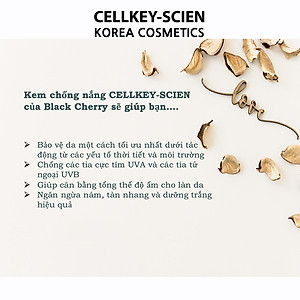 Combo Kem Nền Kem Chống Nắng Che Khuyết Điểm Kiềm Dầu Dưỡng Trắng Chống Nhăn Cho Da Nhạy Cảm Cellkey-Scien BB Sun Cream (80ml)