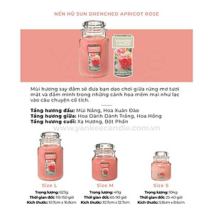 Nến hũ Yankee Candle size L - Sun Drenched Apricot Rose