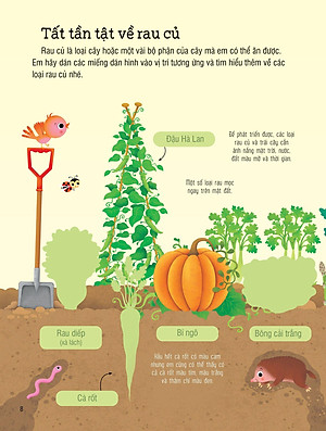 First Sticker Book - Sách Dán Hình Đầu Đời Cho Bé - Trái Cây Và Rau Củ