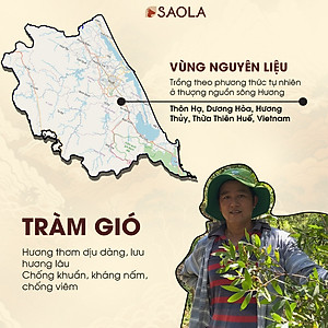 Cao tinh dầu Sao la (Saola Essential Oil Balm) 11g - Hỗ trợ giảm đau lưng, nhức mỏi, đau khớp, giúp ngủ ngon. Sản phẩm sản xuất từ các loại dược liệu thiên nhiên - Hàng Chính Hãng