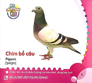 Sách Bé Nhận Biết Môi Trường Xung Quanh (0 - 3 Tuổi) - Chim (Birds)