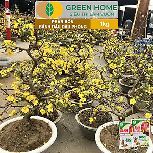 Bánh Dầu Đậu Phộng Greenhome, Bao 1kg, Phân Bón Hữu Cơ Hàm Lượng Đạm Cao, Chuyên Hoa, Rau, Củ, Quả, Kiểng