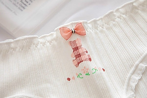 Combo 5 quần lót nữ cotton dễ thương Freesize - Kiểu hoa hồng Rosie (giao màu ngẫu nhiên)