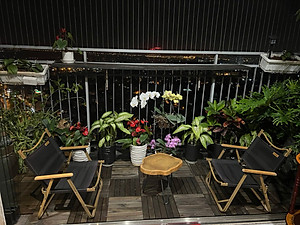 Vỉ Gỗ Lót Sàn Thương Hiệu ANKAN Gu Màu Đen 6 Nan, Ván Sàn Gỗ Vỉ Nhựa, Sân Vườn, Hồ Bơi, Phòng Spa, Siêu Bền, Chịu Nước Tốt, Chống Trơn Trượt, Tiêu Chuẩn Xuất Khẩu