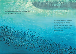 Ehon - Mọt Sách Mogu - Câu Chuyện Của Những Giọt Nước (Từ 3 Tuổi Trở Lên)