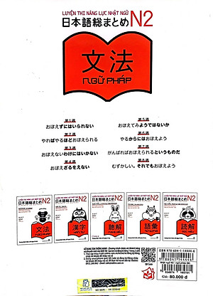 Luyện Thi Năng Lực Nhật Ngữ Trình Độ N2 - Ngữ Pháp