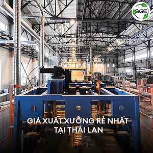 Khay Gieo Hạt/ Khay Ươm Cây Giống GT. Cho Năng Suất Cao, Cây Nhanh Lớn, Cây Con Khỏe, Dễ Sinh Trưởng. Thương Hiệu SGE