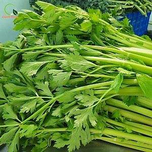 Bột Cần Tây Sấy Lạnh Nguyên Chất Quảng Thanh Túi 50gr  - Hỗ trợ giảm cân, giảm mỡ bụng, giảm mụn, giảm gút