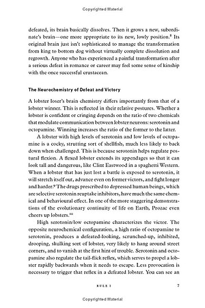 12 Rules for Life: An Antidote to Chaos