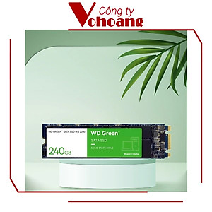 Ổ cứng SSD WD G2 240GB Chuẩn M.2 Green - Hàng Chính Hãng