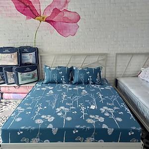 Bộ ga chun không chần Sông Hồng 200cm x 220cm