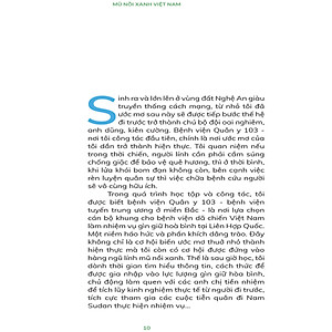 Sách Mũ Nồi Xanh Việt Nam Người Đi Gieo Hạt Hòa Bình