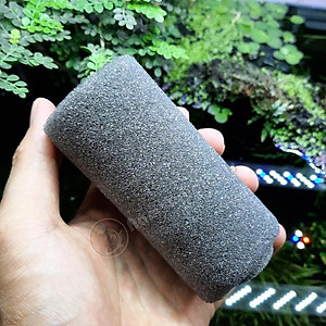 Lọc Bio - Lọc Sủi Vi Sinh Thái Lan Cho Bể Cá Cảnh, Cá La Hán