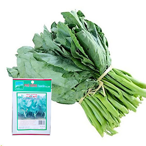 Hạt Giống Cải Rổ Phú Nông
