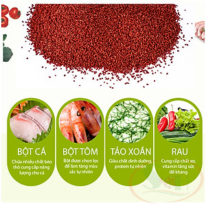 Thức ăn cá Biozym Tropical Fish Food Pellet hạt nhỏ nổi dinh dưỡng cho cá tép cảnh