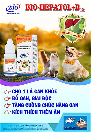 Bio Hepatol B12 mát gan, giải độc, kích thích thèm ăn cho thú cưng