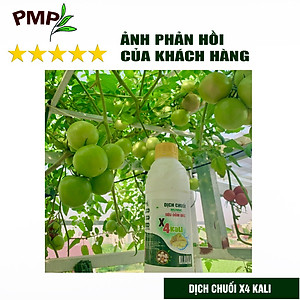 Combo 2 Chai Dịch Chuối Humic PMP Vi Sinh Chuyên Dùng Cho Hoa Hồng, Rau Sạch 1L/Chai